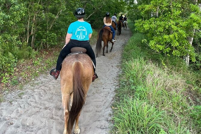 Horseback Ride on Scenic Lake Louisa Trails - Future Tour Offerings