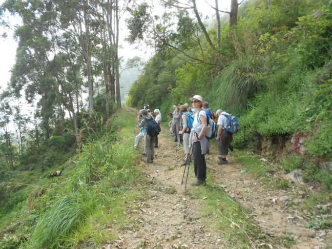 Horton Plains: Pekoe Trail Stage 11 Hiking Trip to Udaweriya - Exploring the Pekoe Trail