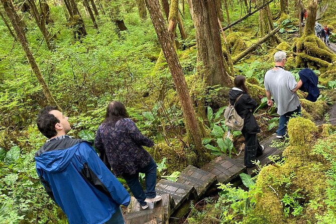 Island Hummer Tour - Exploring Tongass National Rainforest and Revillagigedo Island