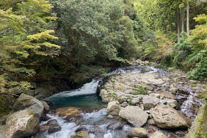 Kawazu Seven Falls Guided Tour - Inclusions
