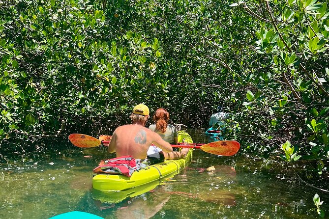Key West Kayak Eco Tour | An Eco-Friendly Adventure Awaits! - Feedback and Reviews