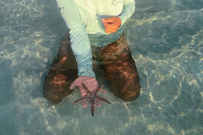 Key West Sandbar/Eco Trip Ran by Husband and Wife Naturalist Team - Frequently Asked Questions