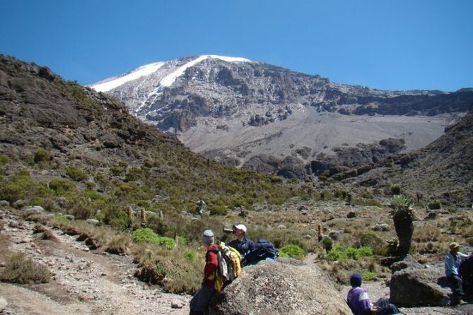 Kilimanjaro-Trekking Lemosho Route 8 Days / 7 Nights - Frequently Asked Questions