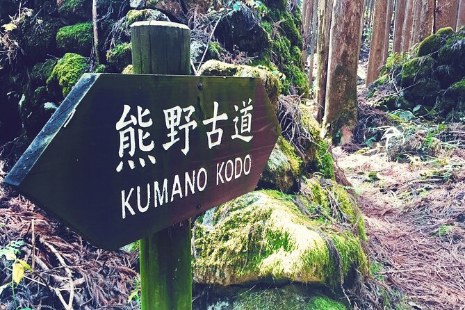 Kumano Kodo Pilgrimage Tour With Licensed Guide & Vehicle - Planning Your Kumano Kodo Pilgrimage Tour