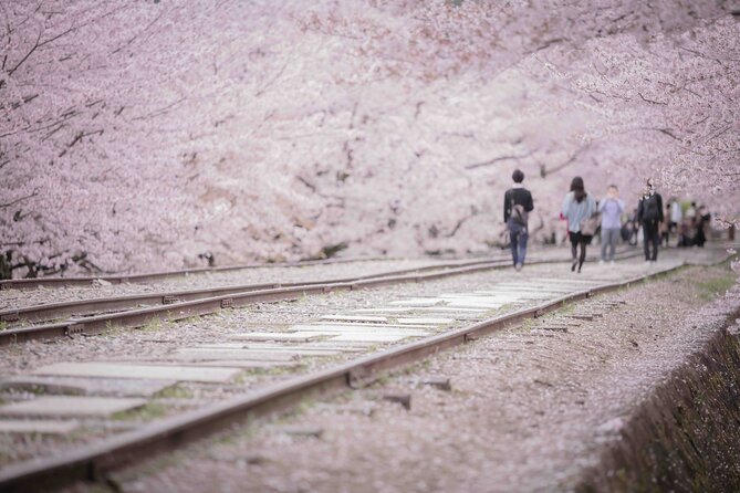 Kyoto Hihashiyama E-Bike Tour *Private, Pick up From/To Hotel - Frequently Asked Questions