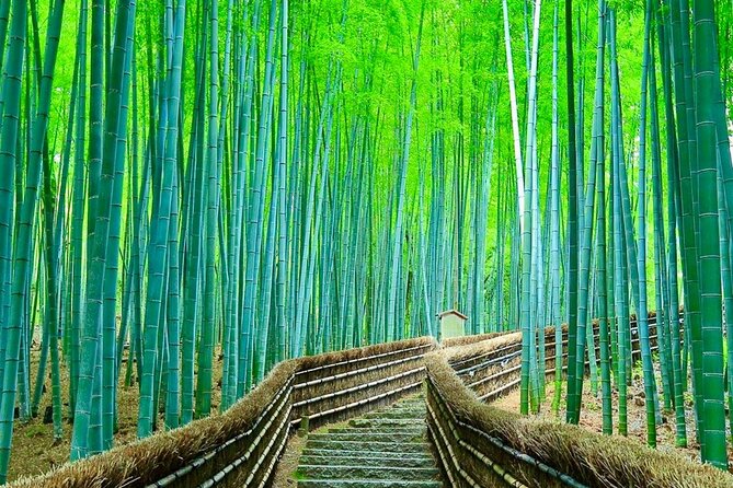 Kyoto/Osaka: Kyoto and Nara Customized Private Guided Tour - Customization Options and Flexibility
