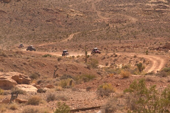 Las Vegas Mini Desert RZR Adventure Review - What to Expect on the RZR Adventure