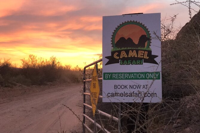 Las Vegas VIP Sunset Safari Tour Review - Final Verdict On This Stay