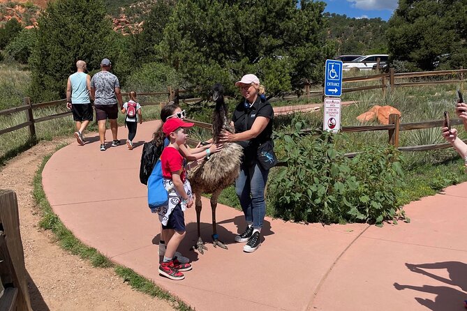 Luxury Private Van to Pikes Peak Review - Knowledgeable and Attentive Guide