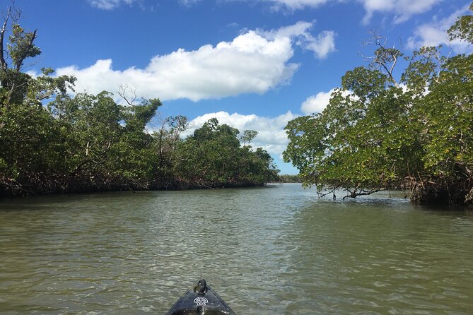 Marco Island Mangrove Tunnel and Maze Adventure Small Group Size - Frequently Asked Questions