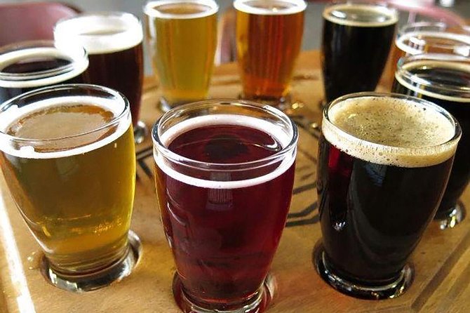 Mexican Craft Beer Tasting Experience - Customer Reviews and Feedback