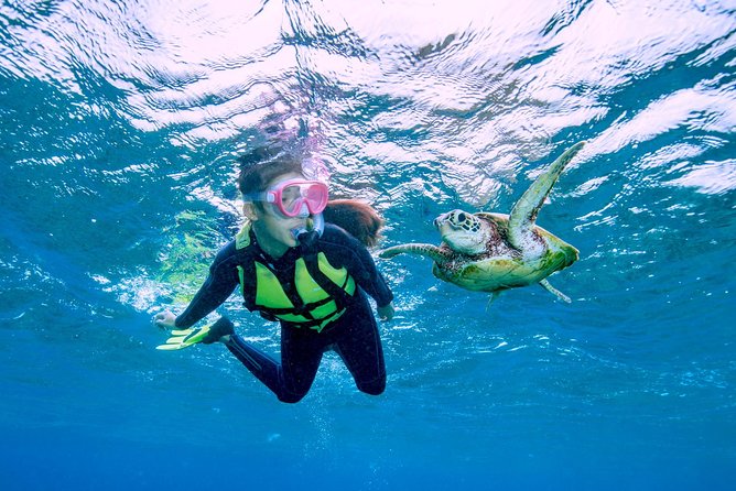 Miyakojima / Snorkel Tour to Swim With Sea Turtles - Exploring Miyakojimas Marine Wonders