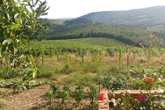 Montalcino and Pienza Tuscany Wine&Cheese Fullday From Florence - Booking and Cancellation Policies