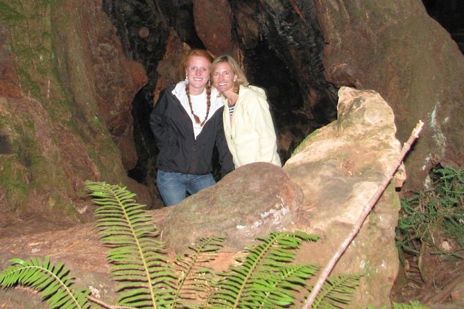 Muir Woods Forest Morning and Afternoon Private Tours - Tour Operation and Company Information