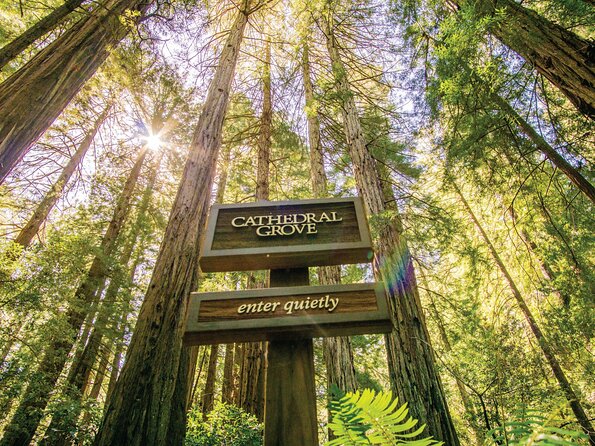 Muir Woods & Sausalito Tour - Booking and Planning Your Visit