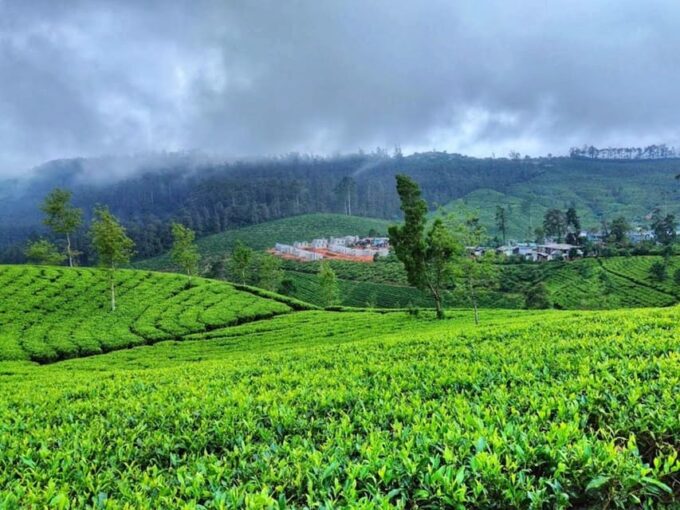Mysterious Sri Lanka: City of Light - Nuwara Eliya - Tour Pricing and Booking Details