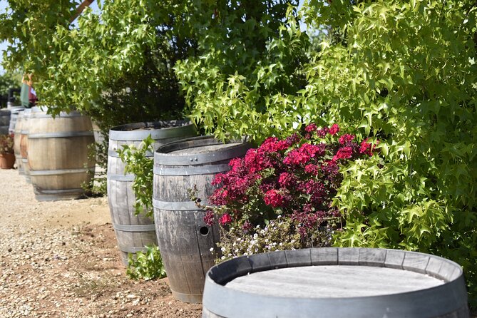 Napa Valley Wine Tasting Tour 6 to 8 Hours Max 14 Passenger - Pricing and Group Capacity