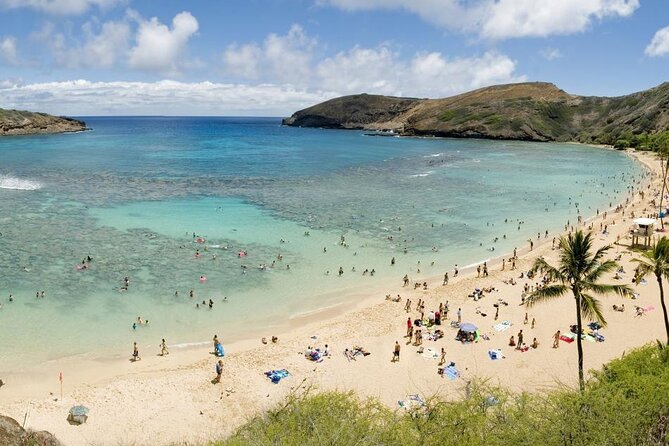North Shore & Circle Island Tour (Private) - Sum Up