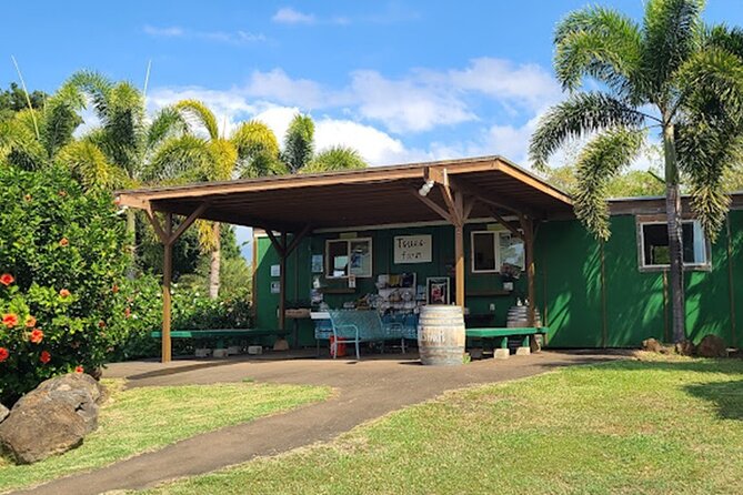 North Shore Farm: Anahulu River, Kayak-Sup, Turtles, Lunch & More - Exploring the Anahulu River Ecosystem