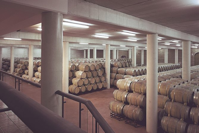 Olive Oil and Navarre Winery Visit With Tastings and Lunch in Small Group Tour - Tour Rating and Reviews