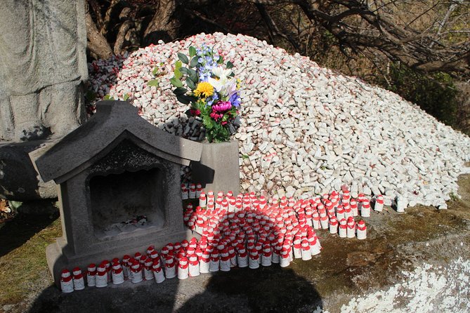 One Day Hike, Thrilling Mt. Nokogiri & Giant Buddha - Preparing for the Hike: Physical Fitness Requirements
