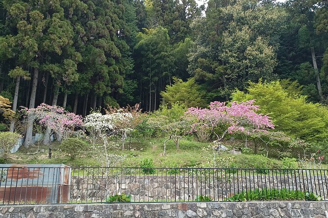 Osaka River Rapids Hike and Natural Hot Spring Tour - Memorable Highlights and Experiences