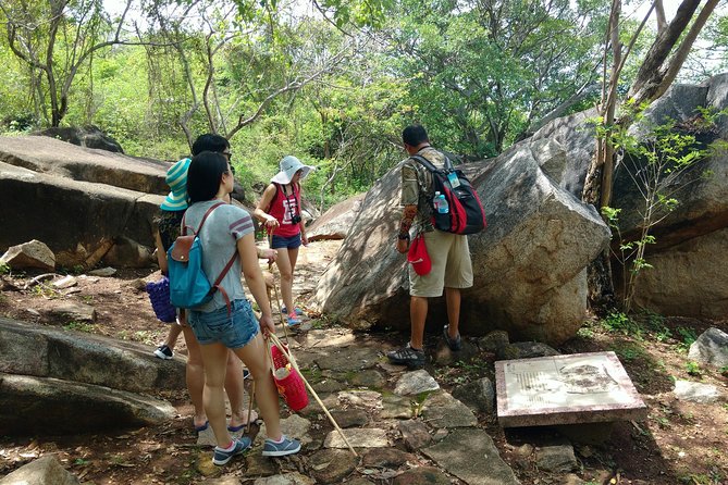 Palma Sola Petroglyphs Archaeological & City Market W/Lunch - Tips for a Great Experience