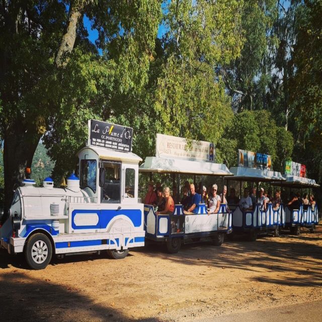 Porticcio: Coastal Train Ticket With Audio Guide & Tastings - Important Traveler Tips