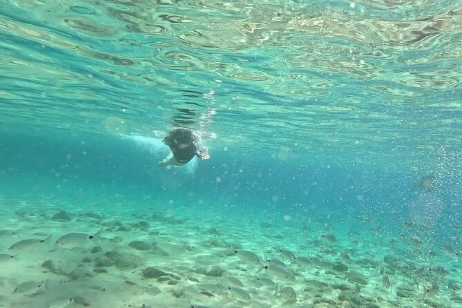 Private 1-Hour Guided Snorkeling Adventure With Go Pro Pictures - Ask Away