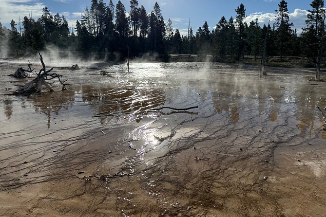 Private All-inclusive Yellowstone Lower Loop"The Volcano" Tours - Wildlife Encounters and Photographic Opportunities