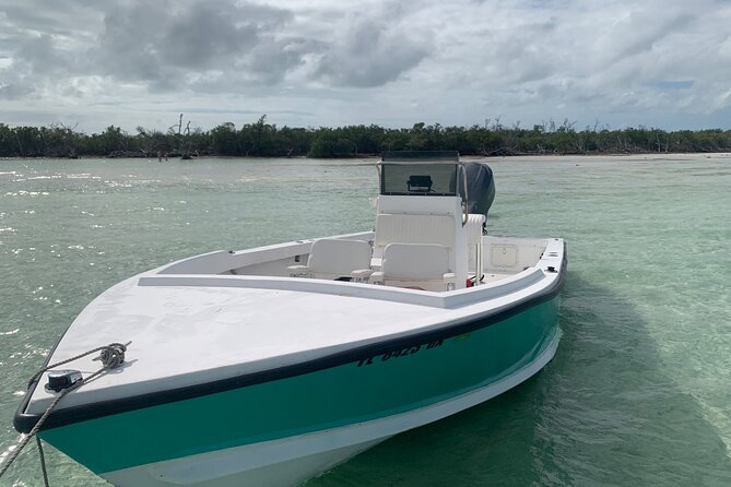 Private Boat Tour to Sand Bar Snorkel Dolphins and Sunset - Frequently Asked Questions