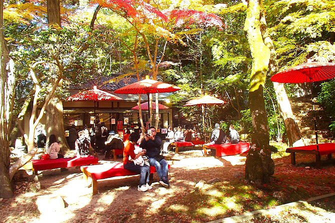 Private Historic Road Hike in the Healing Forest of Arima