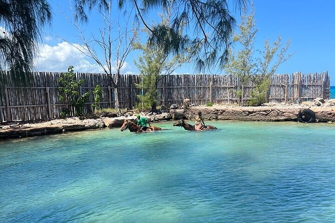 Private Horseback Ride and Swim in Montego Bay - Frequently Asked Questions