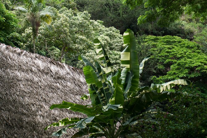Private Tour Oahu-North Shore Ft. Waimea Falls-Admission Included - Pricing and Cancellation Policy