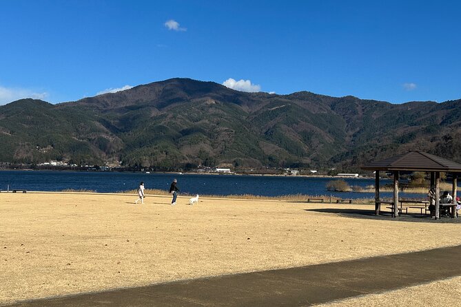 Private Tour to Mt Fuji and Hakone With English Speaking Driver - Booking and Payment