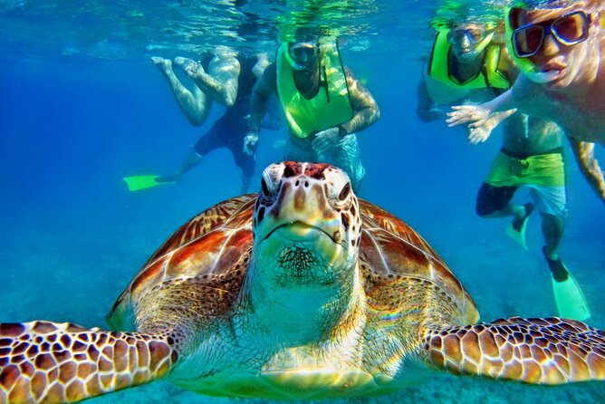 Private Tulum Mayan Ruins & Swimming With Turtles Experience - Additional Tips for Travelers