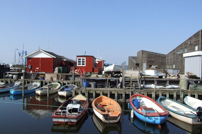 Roskilde, Frederiksborg, and Kronborg Private Tour From Copenhagen - Why Choose This Private Tour?
