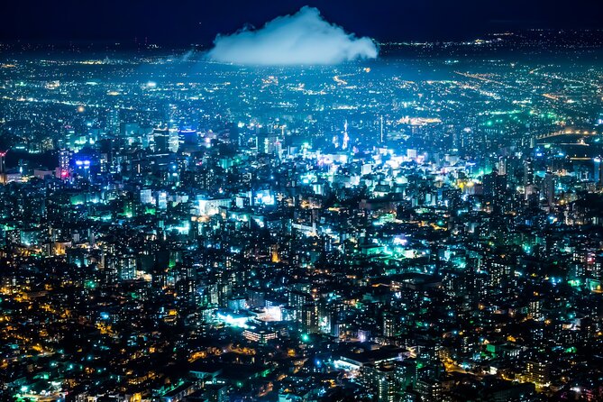 [Sapporo] Lets Go to Mt. Moiwa & Sapporo Night View by Chartered Car! ! - Additional Information