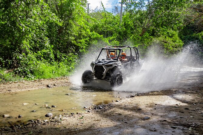 Sayulita Extreme RZR Adventure, Jungle Thrills & Tequila Tasting - Enhancements and Future Plans