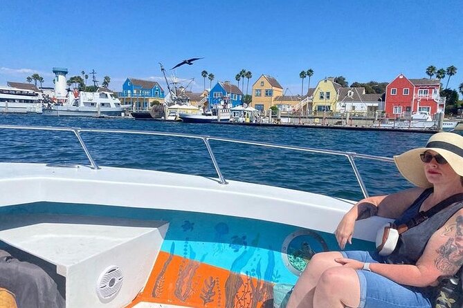 Sea Life Up Close Boat Tour Review - The Sum Up