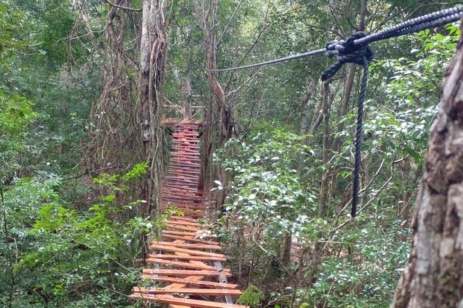 Shared ATVs and Zip Lines and Swimming in a Real Cenote. - Tips for an Enjoyable Experience