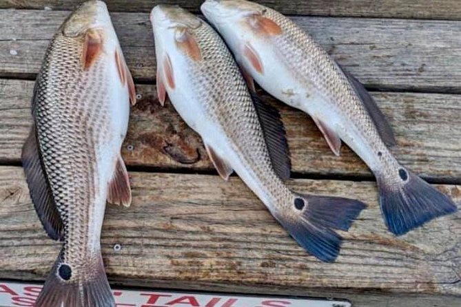 Shared Deep Sea Fishing Trip - Frequently Asked Questions