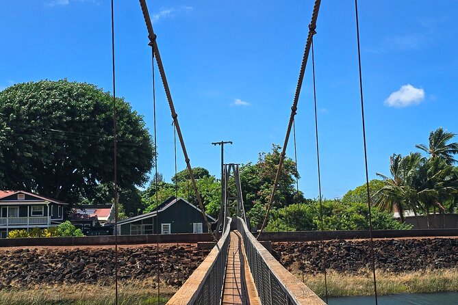 Small Group One Day Trip Kauai Island - What to Expect on the Tour