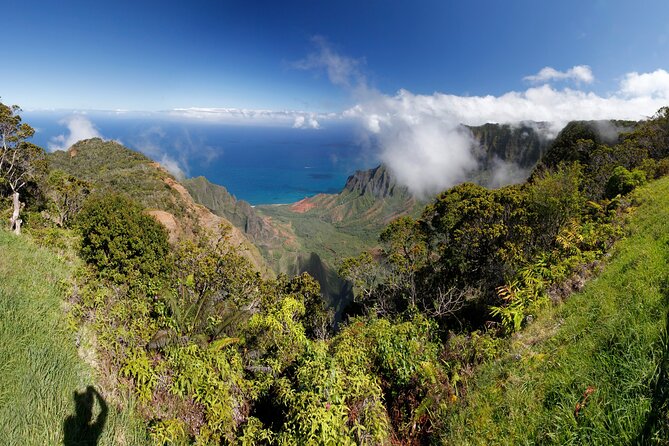 Small-Group Waimea Canyon Adventure Tour & Beyond With Lunch - Frequently Asked Questions