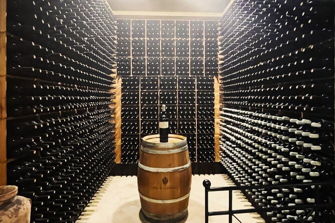 Small Group Wine Tasting Experience From Palermo - Ask Away