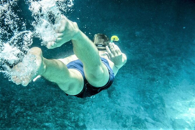 Snorkel Adventure Through the Sea of Cortez - Booking and Cancellation Policies