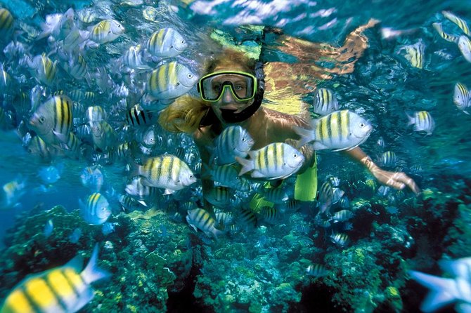 Snorkeling Adventure in Isla Mujeres - Tips for a Great Adventure