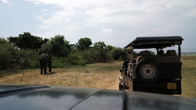 Sri Lanka Rainforest Trekking, Wildlife Safari, Water Sport - Contact Information