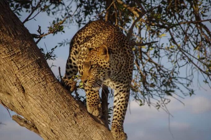Sri Lanka: Wildlife and Beach - Important Information