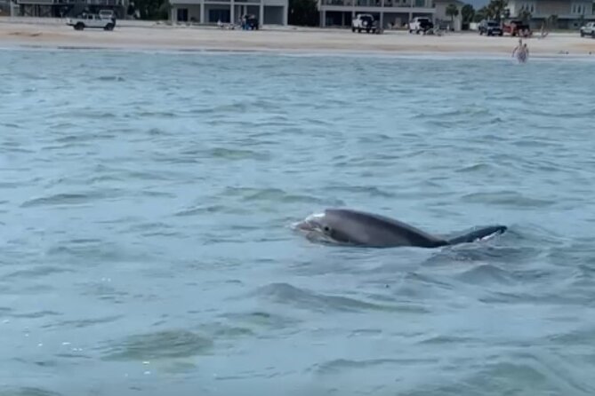 St. Augustine Private Day or Sunset Boat Tour, 6 Passengers Max - Frequently Asked Questions